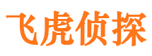 岳塘外遇调查取证